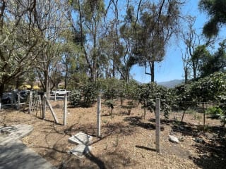 ANTIGUA GUATEMALA Terreno en Venta ideal desarrollo comercial!  en el casco de Antigua Guatemala 2217v2 — Terreno en Venta en Antigua, Sacatepéquez — miniatura 2 de 3