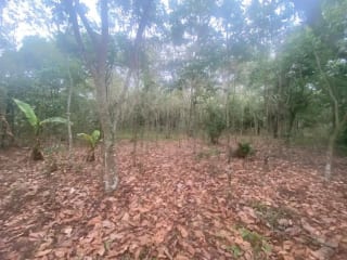 Terreno en El Tejar, Chimaltenango — Terreno en Venta en El Tejar, Chimaltenango — miniatura 4 de 4
