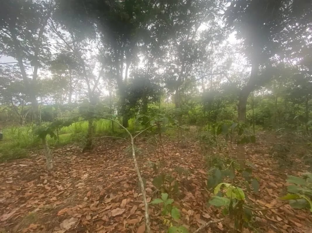 Terreno en El Tejar, Chimaltenango — Terreno en Venta en El Tejar, Chimaltenango — foto 3 de 4