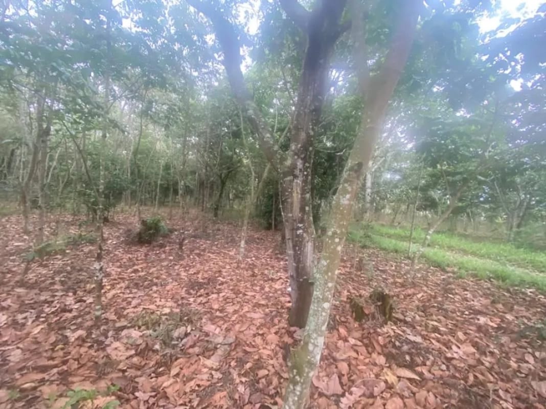 Terreno en El Tejar, Chimaltenango — Terreno en Venta en El Tejar, Chimaltenango — foto 2 de 4
