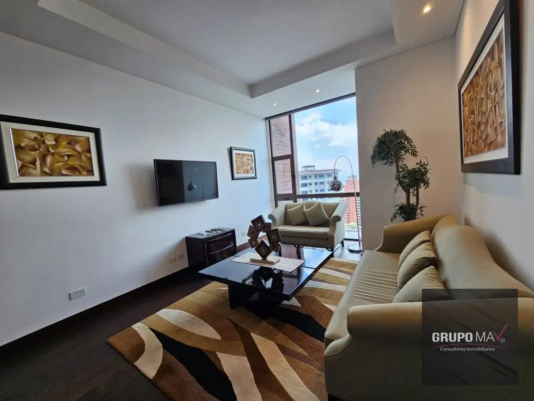 Apartamento Amueblado Zona 14 Echo — Apartamento en Venta en Echo, Zona 14, Guatemala, Ciudad — foto 7 de 14