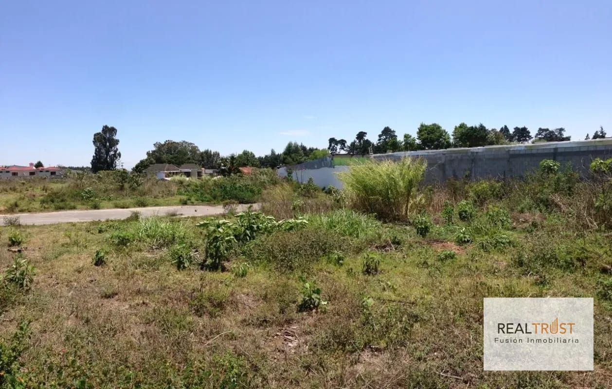 Terreno en Venta Ubicado en KM 19.9 CAES (detrás de Priscemart) — Terreno en Venta en Carretera a El Salvador, Guatemala, Ciudad — foto 3 de 5