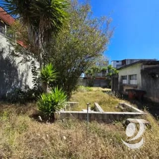 Terreno en Venta El Rodeo Zona 7 Ciudad Guatemala — Terreno en Venta en Zona 7, Guatemala, Ciudad — miniatura 11 de 15