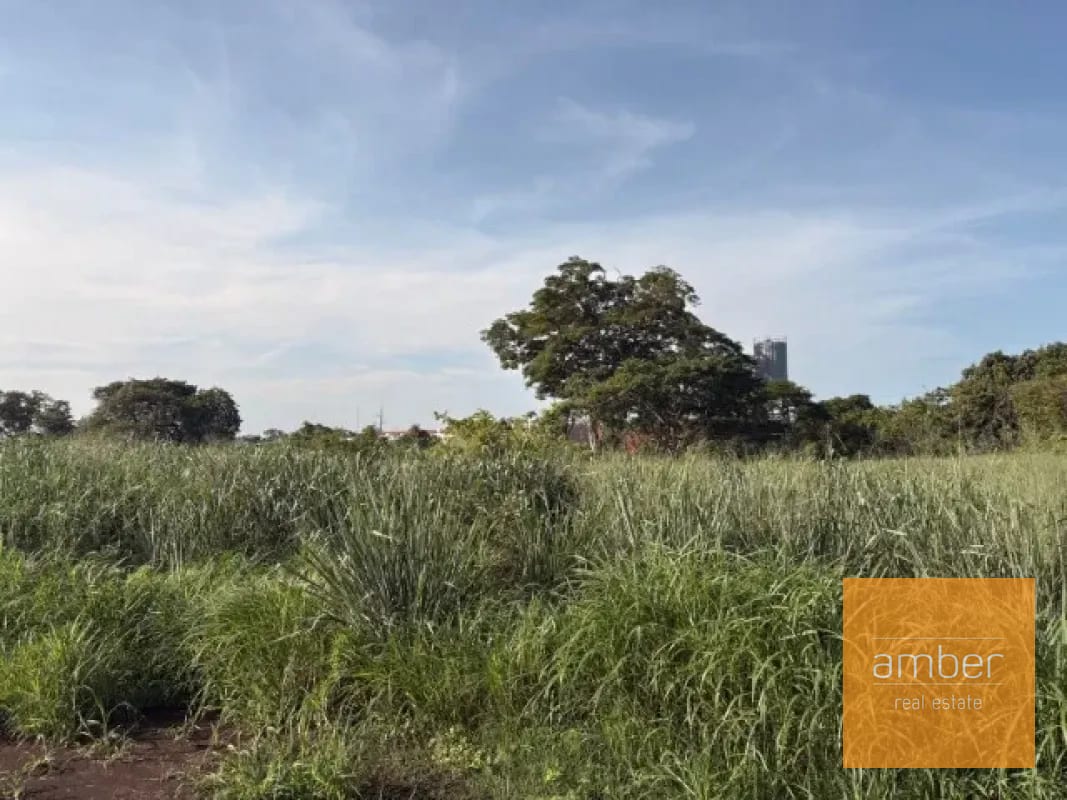 Terreno en Escuintla — Terreno en Venta en Escuintla, Escuintla — foto 11 de 11