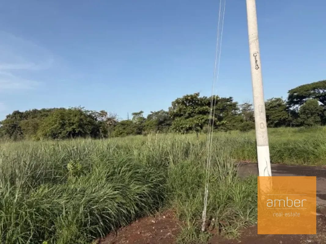 Terreno en Escuintla — Terreno en Venta en Escuintla, Escuintla — foto 3 de 11