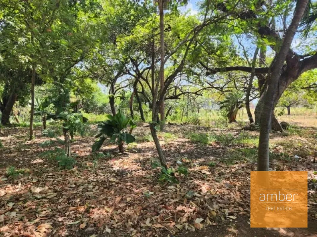 Terreno en Escuintla — Terreno en Venta en Escuintla, Escuintla — foto 10 de 11