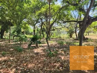 Terreno en venta sobre carretera Antigua a Puerto San José — Terreno en Venta en Escuintla, Escuintla — miniatura 5 de 6