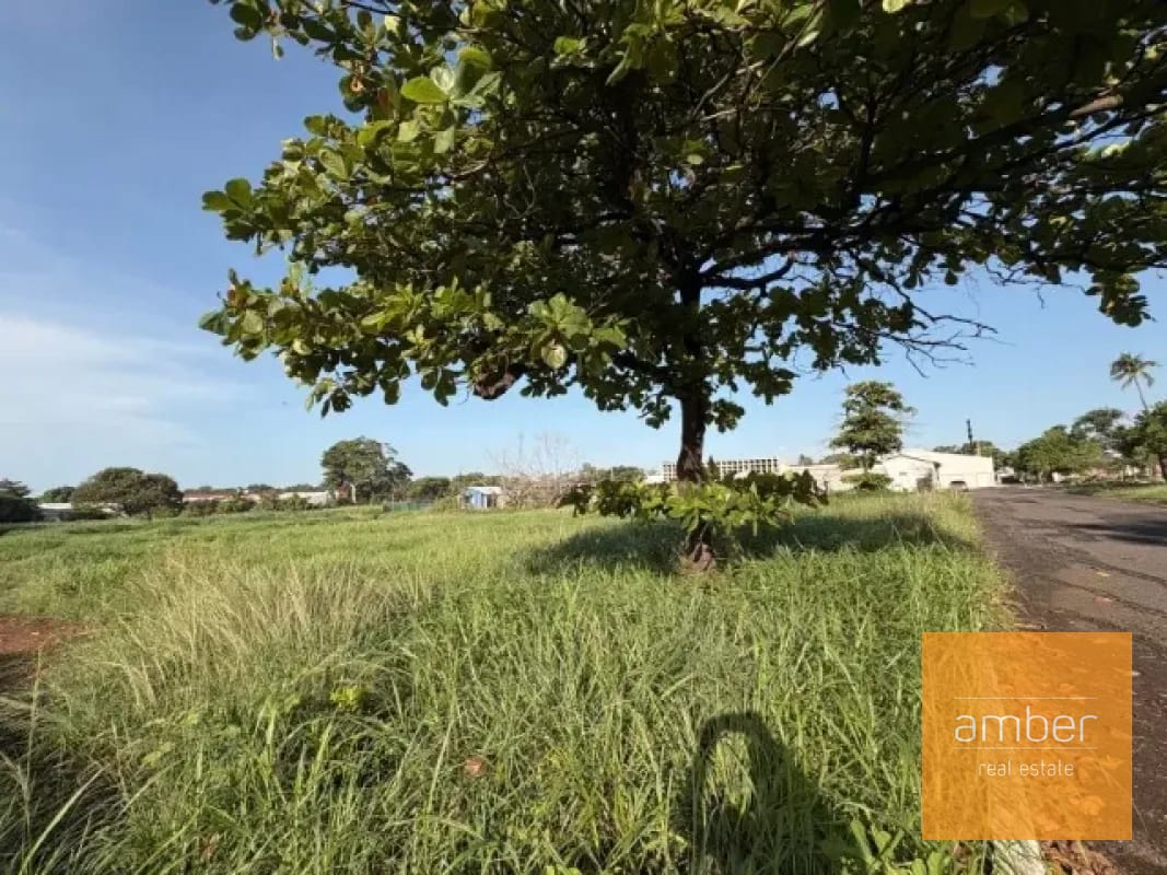 Terreno en renta en Escuintla — Terreno en Alquiler en Escuintla, Escuintla — foto 3 de 6