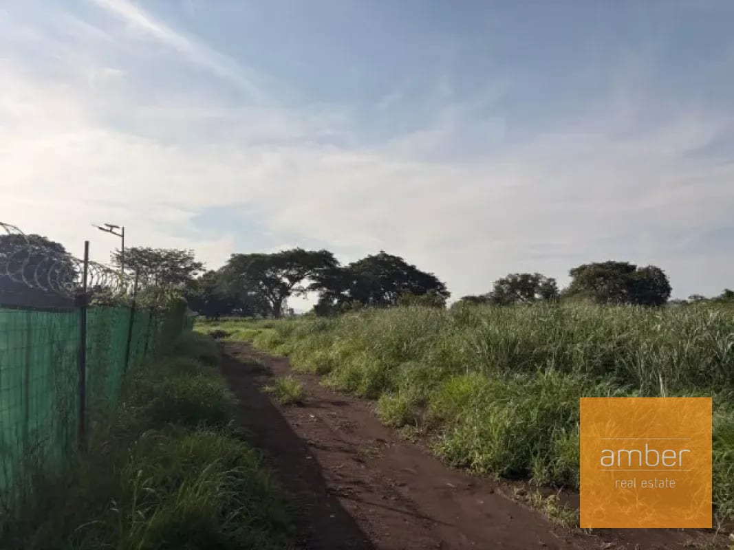 Terreno en Escuintla — Terreno en Alquiler en Escuintla, Escuintla — foto 4 de 6