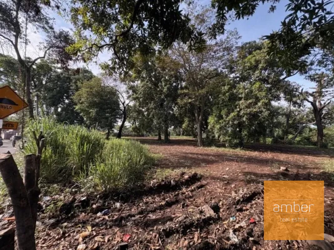 Terreno carretera a El Salto, Escuintla — Terreno en Alquiler en Escuintla, Escuintla — foto 3 de 9