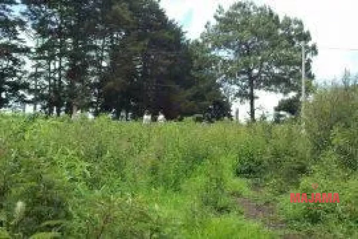 Terreno en Venta KM 15.5 Carretera al Salvador, Codigo 0_TVD1 — Terreno en Venta en Carretera a El Salvador, Guatemala, Ciudad — foto 1 de 1