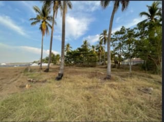 PLAYA SIPACATE VENTA TERRENO PLANO — Terreno en Venta en Sipacate, Escuintla — miniatura 3 de 3