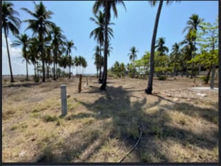 PLAYA SIPACATE VENTA TERRENO PLANO — Terreno en Venta en Sipacate, Escuintla — miniatura 2 de 3