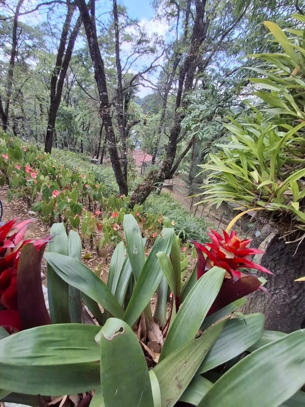 Casa en Venta - Tronco 2 EL ENCINAL Zona 7 Mixco — Casa en Venta en El Encinal, Zona 7 Mixco, Guatemala, Ciudad — foto 3 de 15