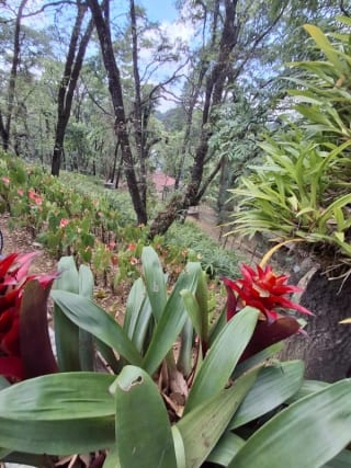 Casa en Venta - Tronco 2  EL ENCINAL Zona 7 Mixco — Casa en Venta en El Encinal, Zona 7 Mixco, Guatemala, Ciudad — miniatura 3 de 15