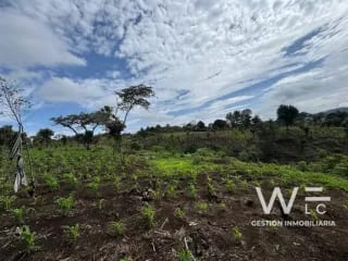 VENDO TERRENO 17 MANZANAS FRAIJANES — Terreno en Venta en Fraijanes, Carretera a El Salvador, Guatemala, Ciudad — miniatura 4 de 10