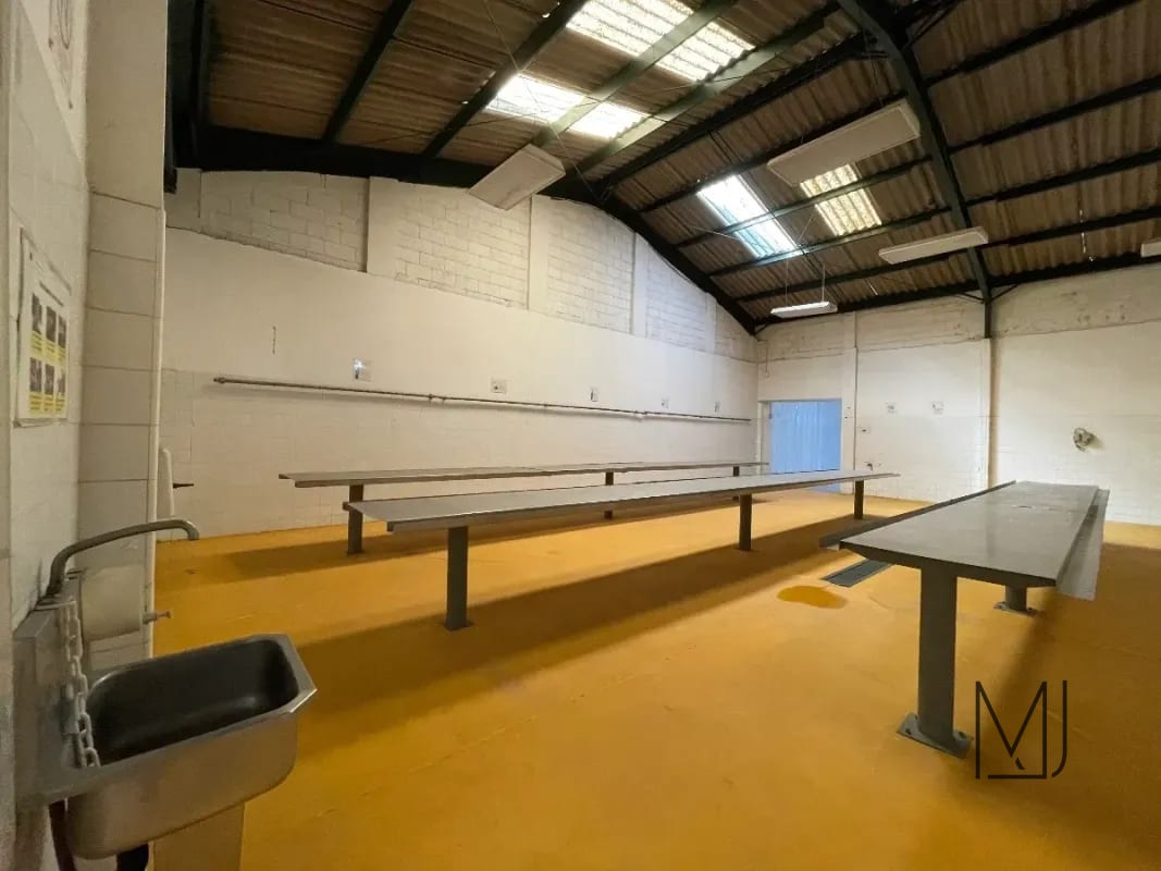 Bodega en alquiler | Villa Nueva | ¡Amplio espacio industrial con cuartos fríos y oficinas! — Bodega / Ofibodega en Alquiler en Villa Nueva, Guatemala, Ciudad — foto 11 de 11