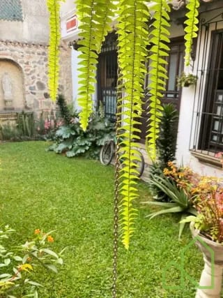 Propiedad en Venta en San Pedro El Panorama, Antigua Guatemala — Casa en Venta en Antigua, Sacatepéquez — miniatura 8 de 16