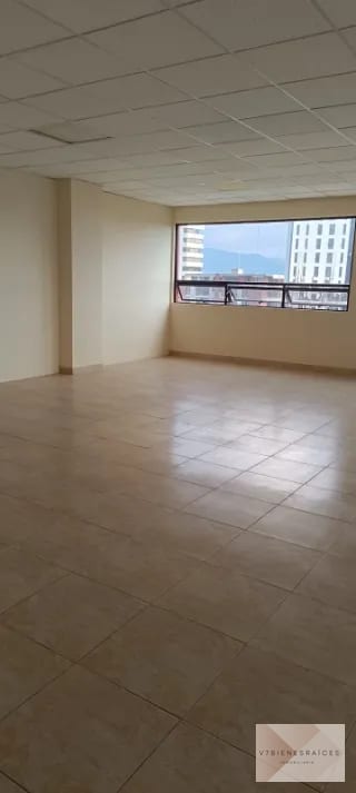 AMPLIAS OFICINAS EN RENTA — Oficina en Alquiler en Zona 13, Guatemala, Ciudad — miniatura 6 de 6