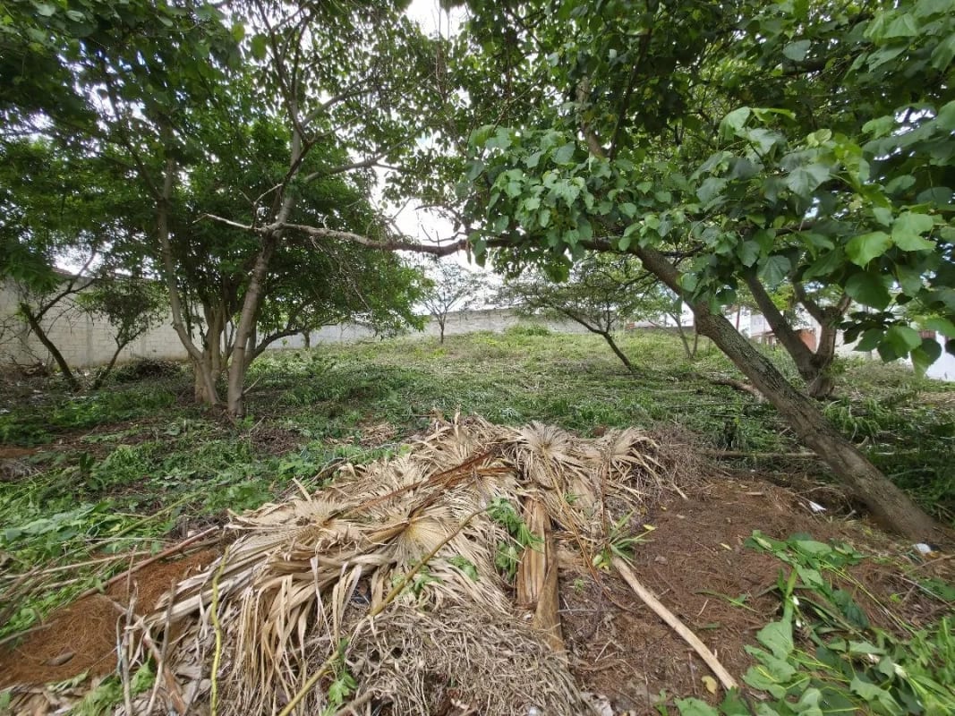 Terreno en renta en San Cristóbal Sector A10 — Terreno en Alquiler en Zona 8 Mixco, Guatemala, Ciudad — foto 4 de 9