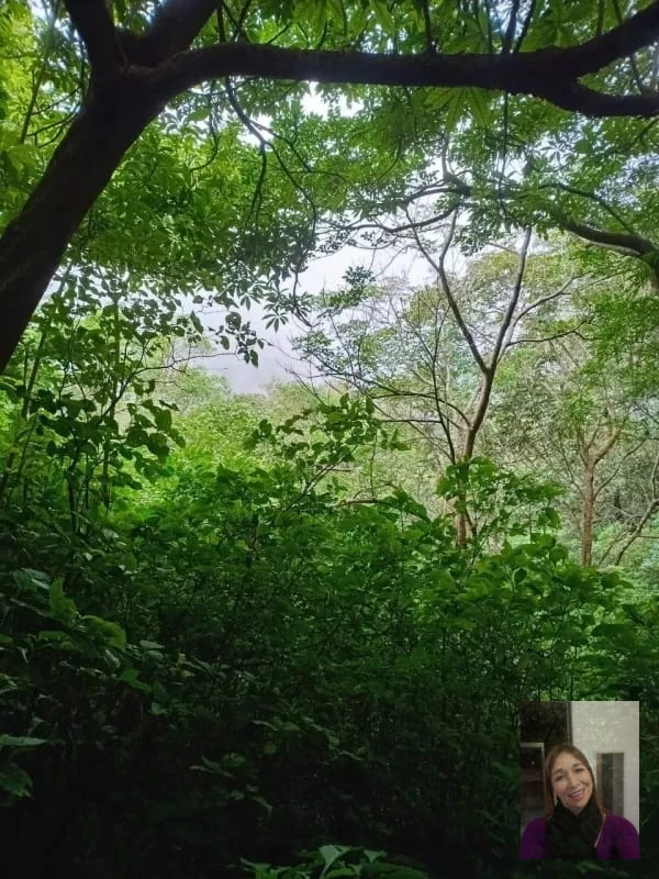 Finca — Finca en Venta en Moyuta, Jutiapa — foto 5 de 14