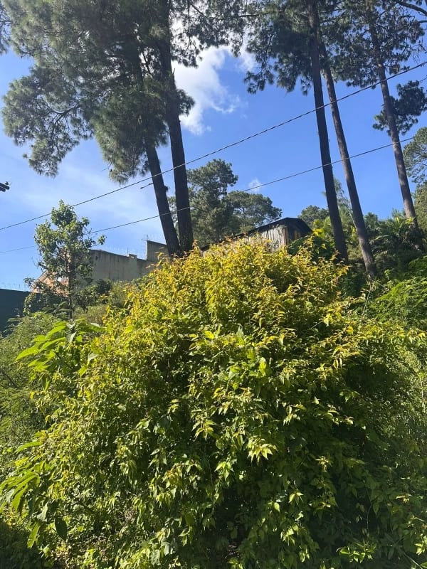 terreno en venta kanajuyu — Terreno en Venta en Kanajuyú, Zona 16, Guatemala, Ciudad — foto 2 de 3