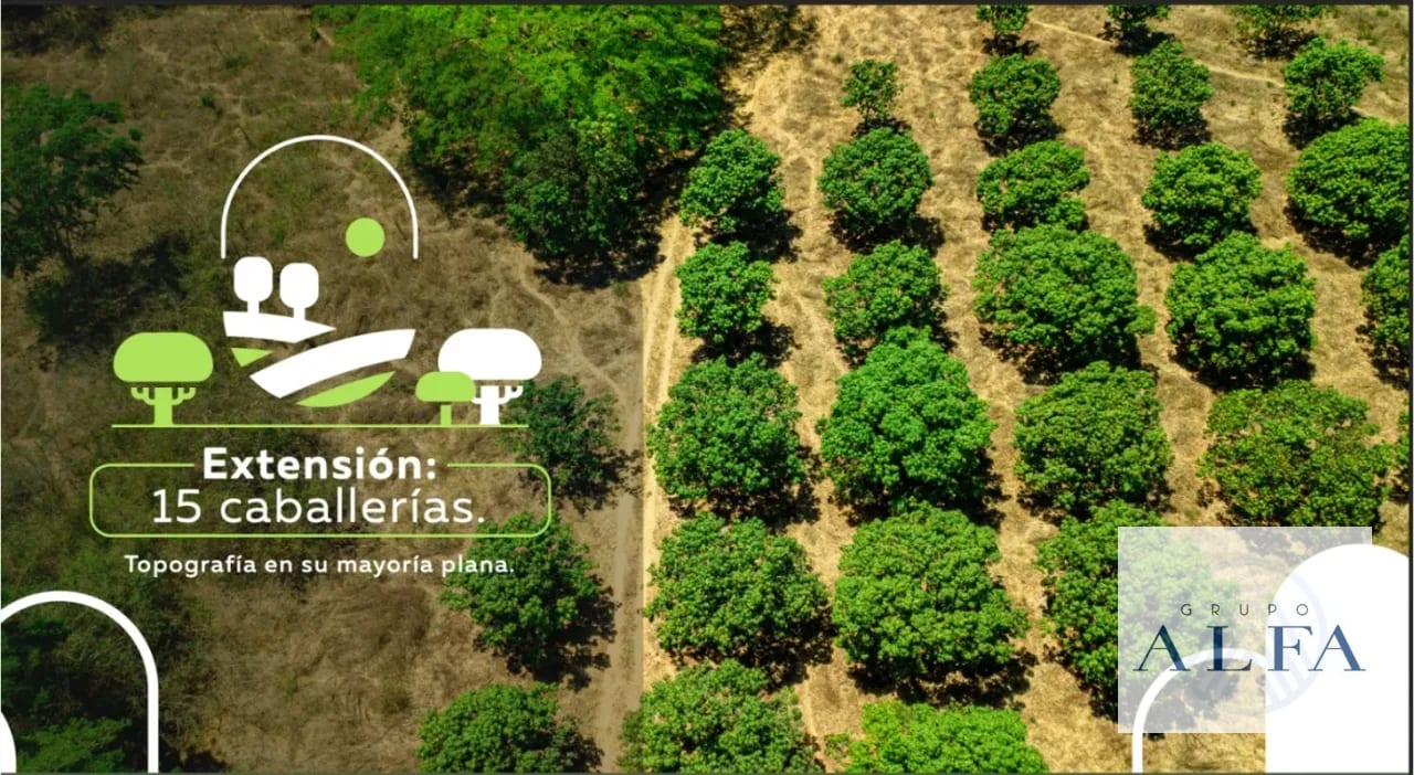 VENTA DE 15 CABALLERIAS EN ORATORIO, SANTA ROSA. Q32,000.000.00 — Finca en Venta en Santa María Ixhuatán, Santa Rosa — foto 1 de 5
