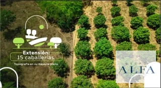 VENTA DE 15 CABALLERIAS EN ORATORIO, SANTA ROSA. Q32,000.000.00 — Finca en Venta en Santa María Ixhuatán, Santa Rosa — miniatura 1 de 5