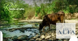 VENTA DE 15 CABALLERIAS EN ORATORIO, SANTA ROSA. Q32,000.000.00 — Finca en Venta en Santa María Ixhuatán, Santa Rosa — miniatura 5 de 5