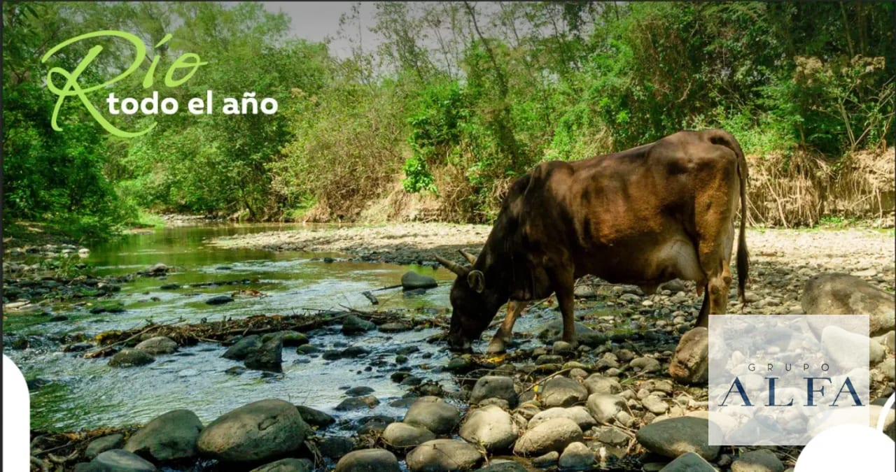 VENTA DE 15 CABALLERIAS EN ORATORIO, SANTA ROSA. Q32,000.000.00 — Finca en Venta en Santa María Ixhuatán, Santa Rosa — foto 5 de 5