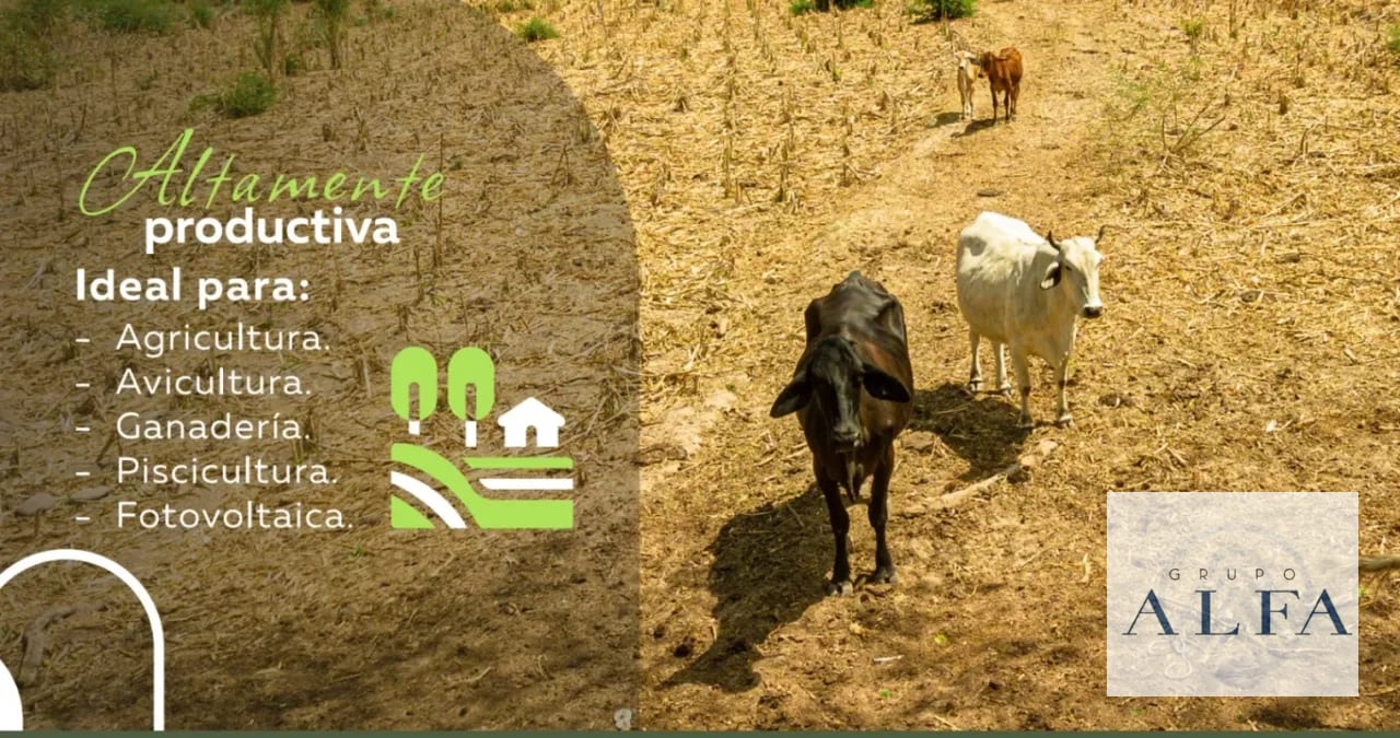 VENTA DE 15 CABALLERIAS EN ORATORIO, SANTA ROSA. Q32,000.000.00 — Finca en Venta en Santa María Ixhuatán, Santa Rosa — foto 3 de 5