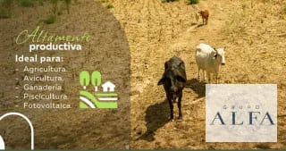 VENTA DE 15 CABALLERIAS EN ORATORIO, SANTA ROSA. Q32,000.000.00 — Finca en Venta en Santa María Ixhuatán, Santa Rosa — miniatura 3 de 5