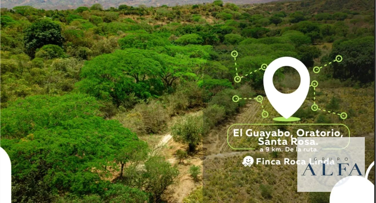 VENTA DE 15 CABALLERIAS EN ORATORIO, SANTA ROSA. Q32,000.000.00 — Finca en Venta en Santa María Ixhuatán, Santa Rosa — foto 2 de 5