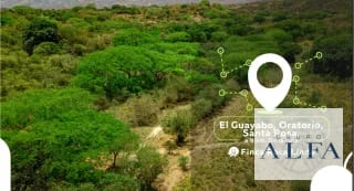 VENTA DE 15 CABALLERIAS EN ORATORIO, SANTA ROSA. Q32,000.000.00 — Finca en Venta en Santa María Ixhuatán, Santa Rosa — miniatura 2 de 5