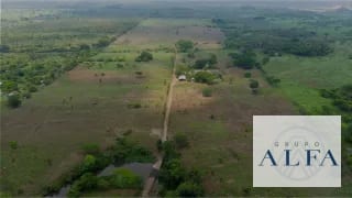 FINCA DE MADERA EN VENTA- BOSQUE CERTIFICADO DE ALTO VALOR — Finca en Venta en Escuintla, Escuintla — miniatura 1 de 8