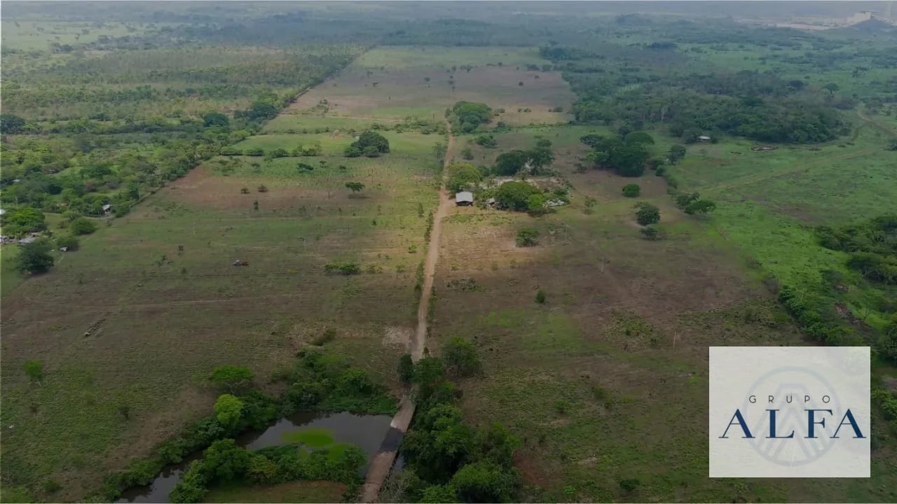 FINCA DE MADERA EN VENTA- BOSQUE CERTIFICADO DE ALTO VALOR — Finca en Venta en Escuintla, Escuintla — foto 1 de 8