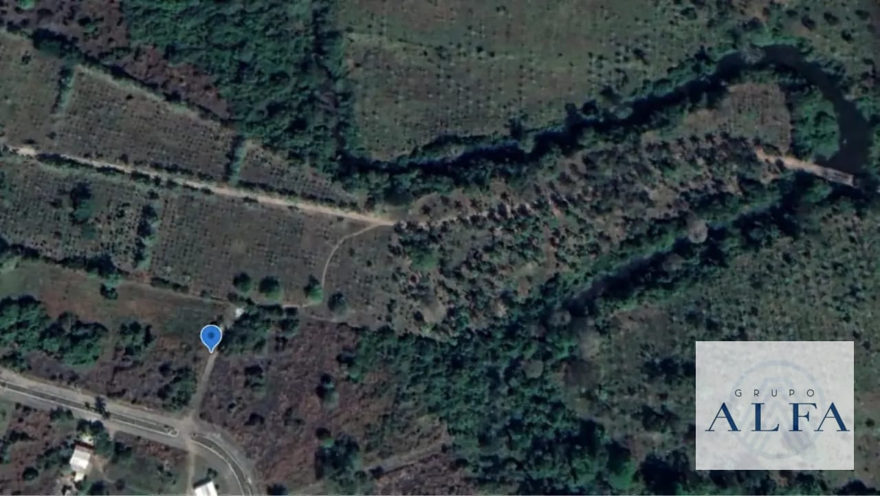 FINCA DE MADERA EN VENTA- BOSQUE CERTIFICADO DE ALTO VALOR — Finca en Venta en Escuintla, Escuintla — foto 8 de 8