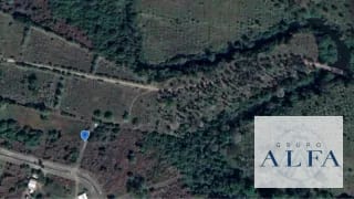 FINCA DE MADERA EN VENTA- BOSQUE CERTIFICADO DE ALTO VALOR — Finca en Venta en Escuintla, Escuintla — miniatura 8 de 8