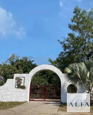 FINCA DE MADERA EN VENTA- BOSQUE CERTIFICADO DE ALTO VALOR — Finca en Venta en Escuintla, Escuintla — miniatura 6 de 8