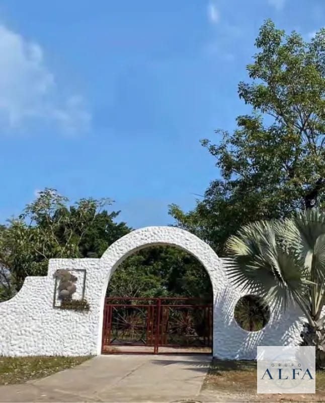 FINCA DE MADERA EN VENTA- BOSQUE CERTIFICADO DE ALTO VALOR — Finca en Venta en Escuintla, Escuintla — foto 6 de 8