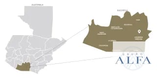 FINCA DE MADERA EN VENTA- BOSQUE CERTIFICADO DE ALTO VALOR — Finca en Venta en Escuintla, Escuintla — miniatura 5 de 8