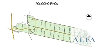 FINCA DE MADERA EN VENTA- BOSQUE CERTIFICADO DE ALTO VALOR — Finca en Venta en Escuintla, Escuintla — miniatura 4 de 8