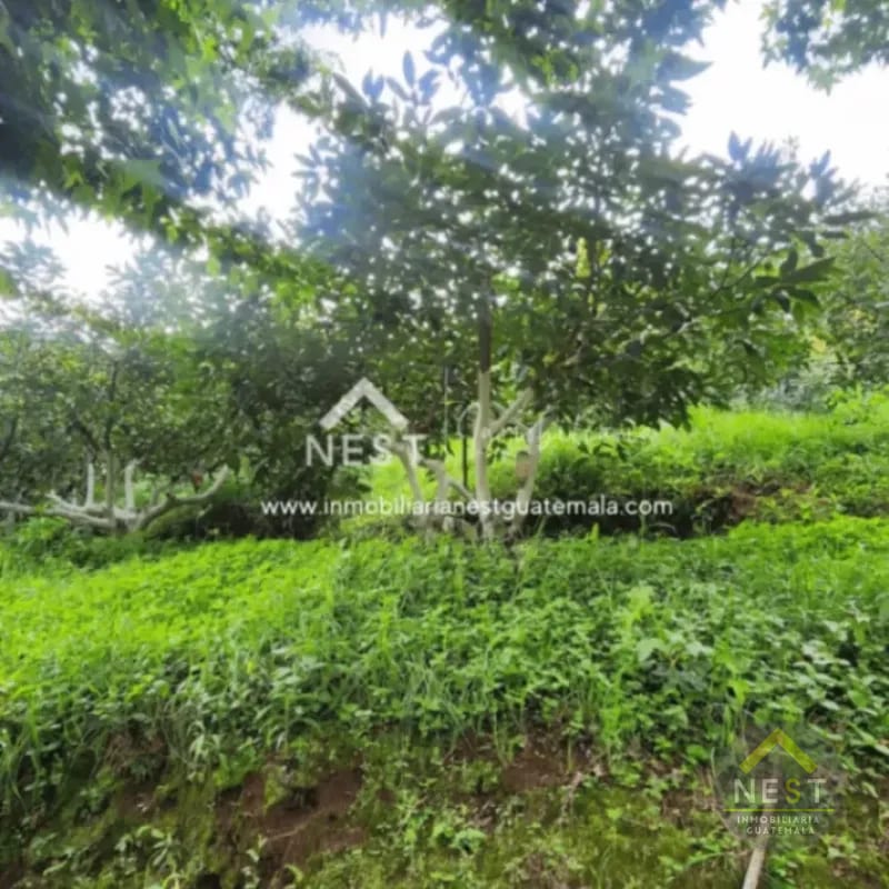 Terreno de 1.5 manzanas en VENTA | Las Lomas, Santo Tomas Milpas Altas — Terreno en Venta en Santo Tomás Milpas Altas, Sacatepéquez — foto 4 de 15
