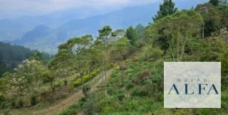20 MANZANAS CON CASA DE CAMPO PARA RECREACION O INVERSIÓN — Finca en Venta en San Agustín Acasaguastlán, El Progreso — miniatura 8 de 15