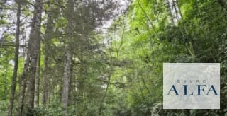 20 MANZANAS CON CASA DE CAMPO PARA RECREACION O INVERSIÓN — Finca en Venta en San Agustín Acasaguastlán, El Progreso — miniatura 7 de 15