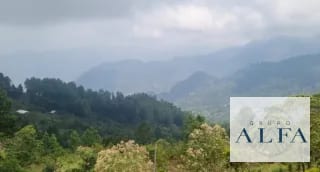 20 MANZANAS CON CASA DE CAMPO PARA RECREACION O INVERSIÓN — Finca en Venta en San Agustín Acasaguastlán, El Progreso — miniatura 2 de 15