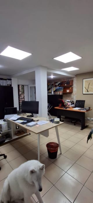 Casa en venta Oakland zona 10 — Casa en Venta en Zona 10, Guatemala, Ciudad — miniatura 4 de 17