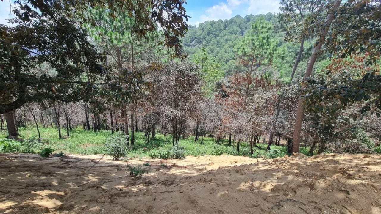 TERRENOS EN VENTA EN SUMPANGO, A 3 MIN DEL CENTRO — Terreno en Venta en San Juan Sacatepéquez, Sacatepéquez — foto 11 de 13