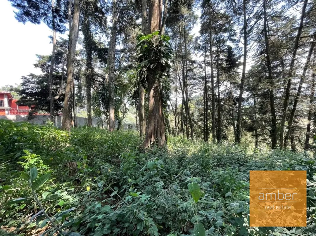 Terreno Km 13.1 CES, Finca el Socorro — Terreno en Venta en Carretera a El Salvador, Guatemala, Ciudad — foto 7 de 7