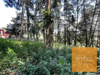 Terreno Km 13.1 CES, Finca el Socorro — Terreno en Venta en Carretera a El Salvador, Guatemala, Ciudad — miniatura 7 de 7